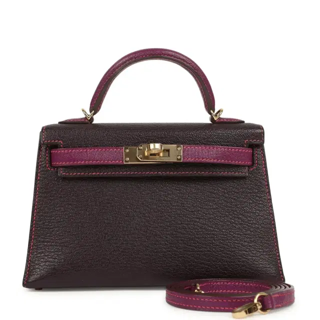 hermes Hermes Special Order (HSS) Kelly Sellier 20 Raisin and Anemone Chevre Mysore Permabrass Hardware