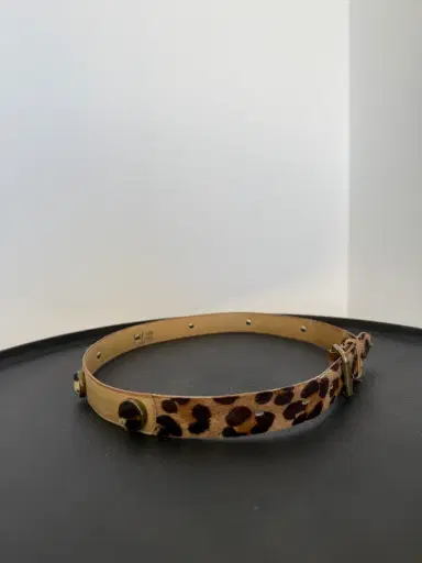 Jen Wonders Studio Calf Hair Leo Belt | Thumbnail 7 Jen Wonders Studio Calf Hair Leo Belt | Thumbnail 7