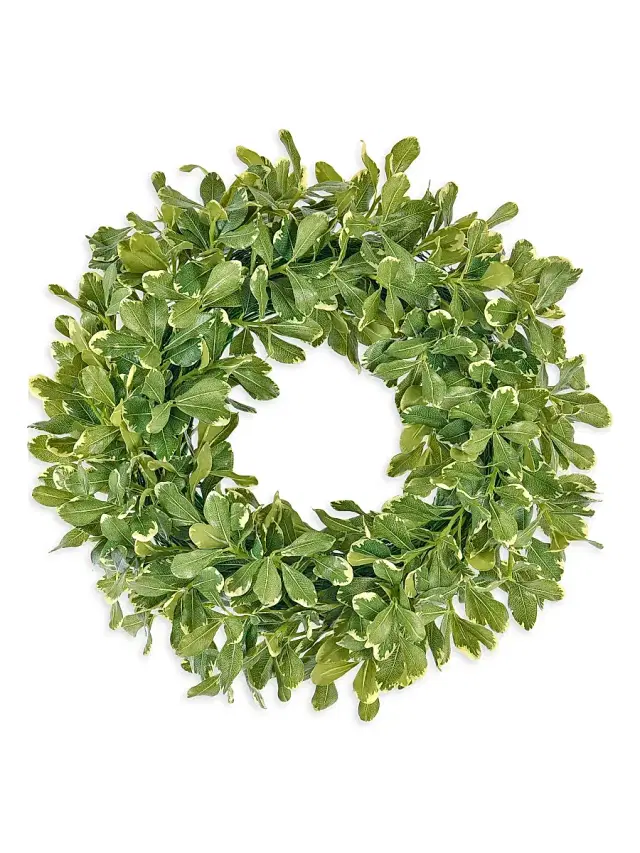 Winward Home Everyday Newness Refresh Pittosporum Spray Wreath - Green