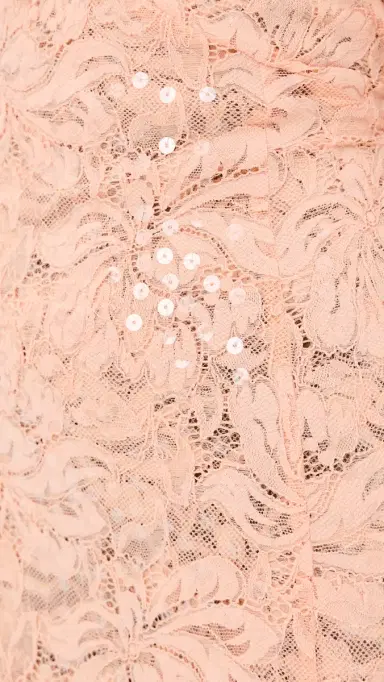 rabanne Lace Dress with Sequin Embroidery Salmon Pink | Thumbnail 6 rabanne Lace Dress with Sequin Embroidery Salmon Pink | Thumbnail 6