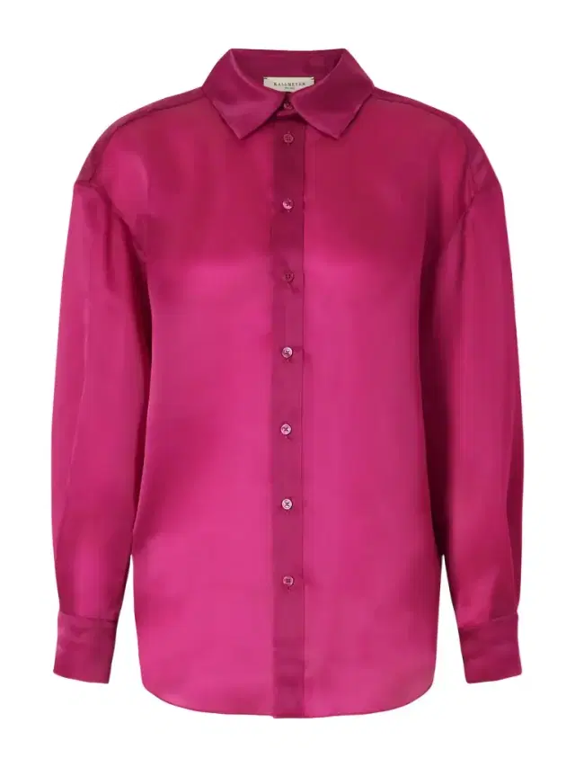 Dani Silk-organza Shirt