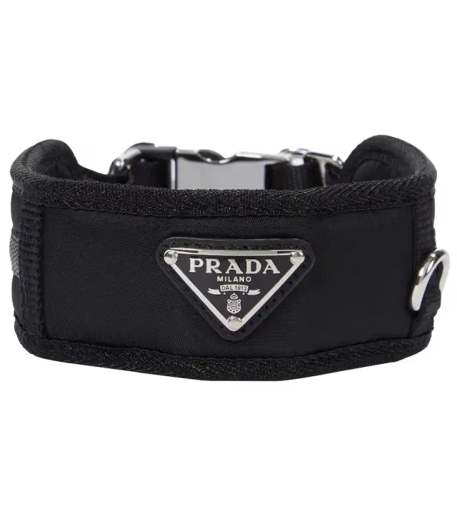 Re-Nylon dog collar