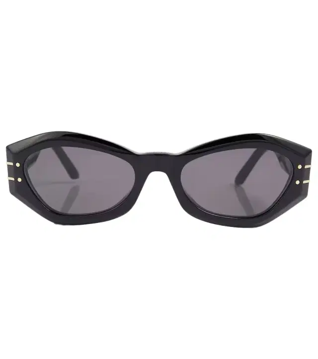 Dior Eyewear DiorSignature B1U sunglasses
