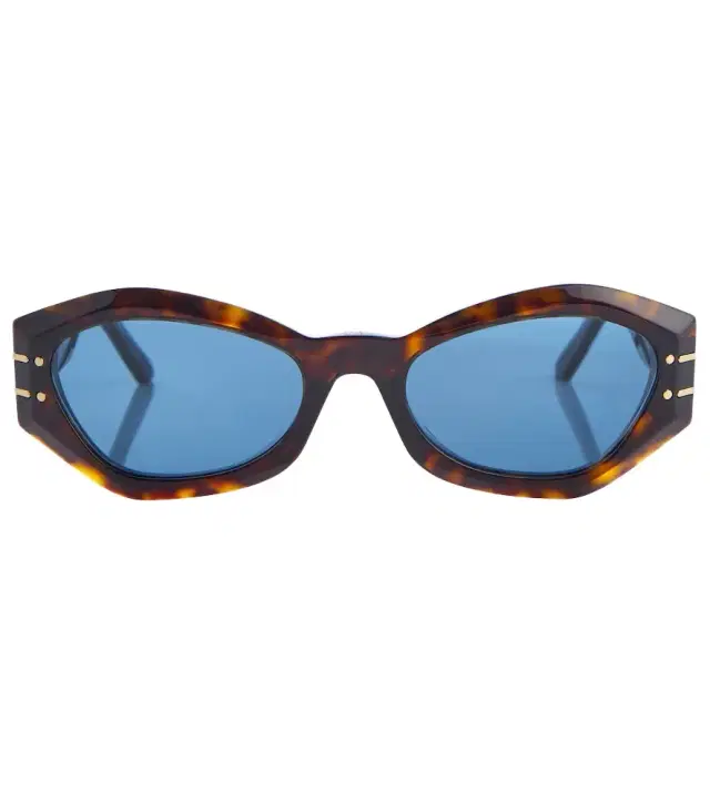 Dior Eyewear DiorSignature B1U sunglasses