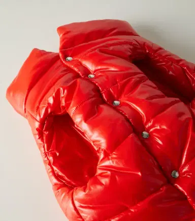 Moncler Poldo Dog Couture dog coat | Thumbnail 3