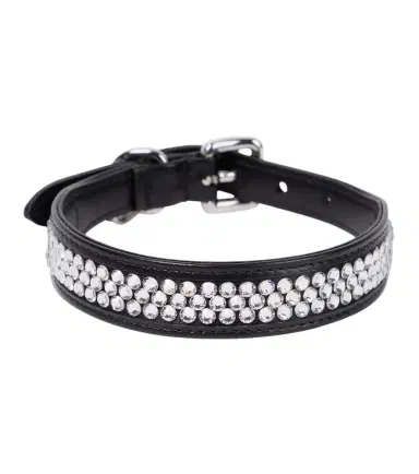 Miu Miu Embellished leather dog collar | Thumbnail 1