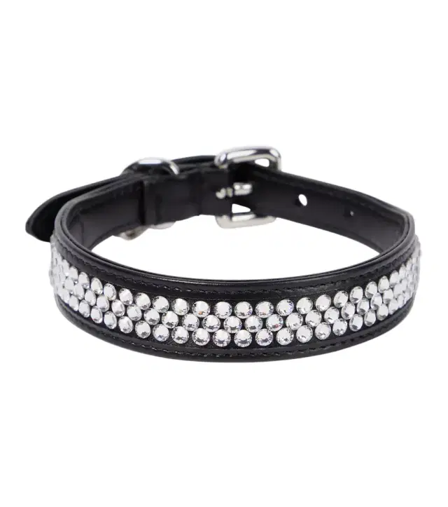 Embellished leather dog collar