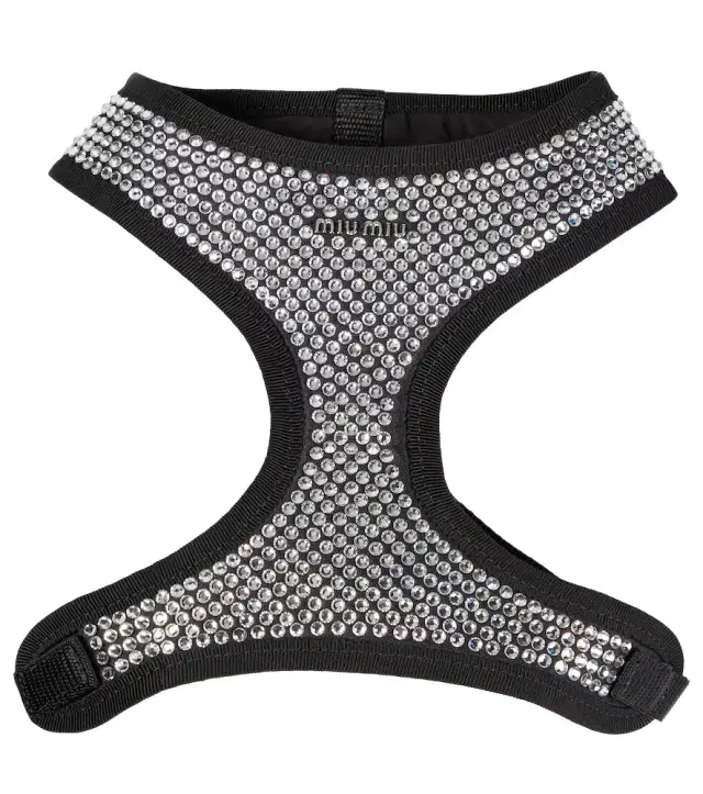 Embellished dog harness