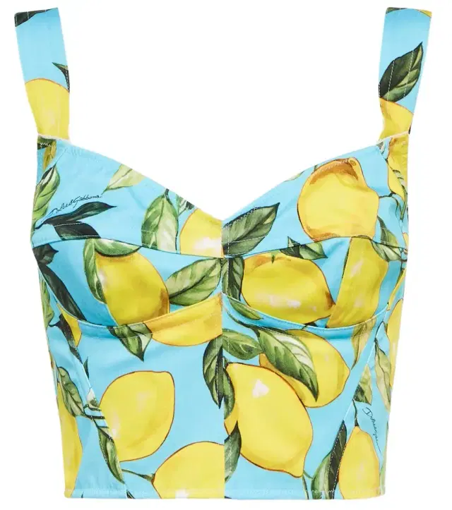 Dolce & Gabbana Printed cotton-blend bustier top