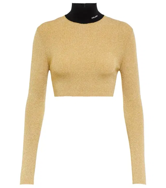 Lamé cropped turtleneck sweater