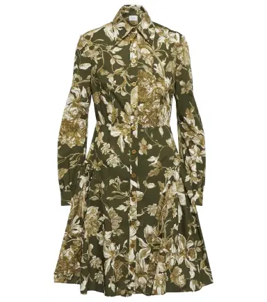 Erdem Apolonia cotton shirt dress | Thumbnail 1