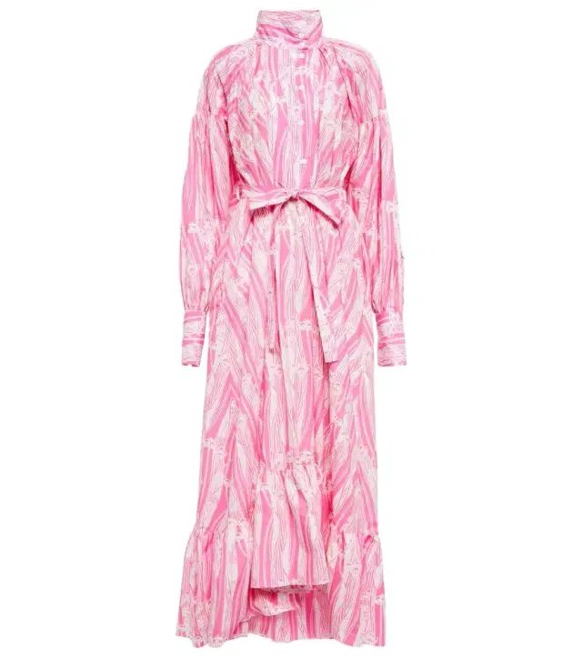 Patou Printed cotton maxi dress
