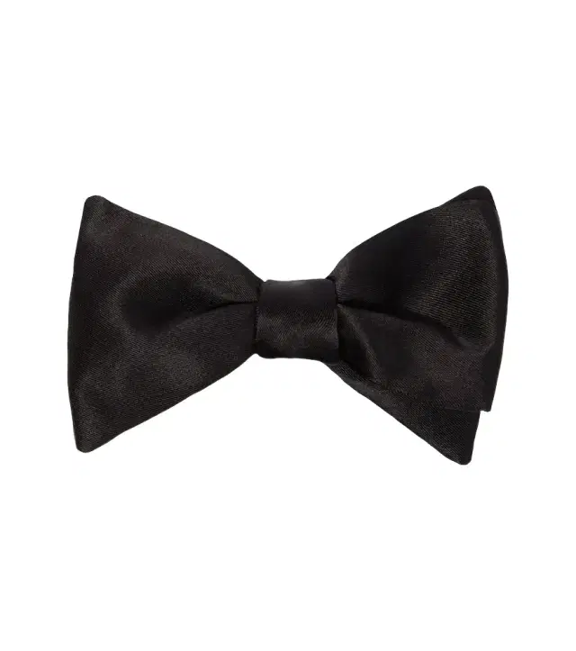 Giorgio Armani Silk bow tie