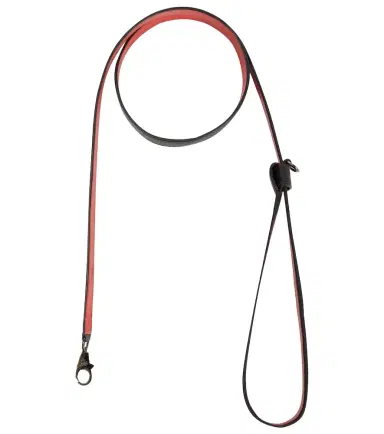 Christian Louboutin Loubileash leather dog leash | Thumbnail 1