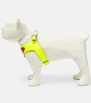 Christian Louboutin Loubiharness leather dog harness | Thumbnail 4
