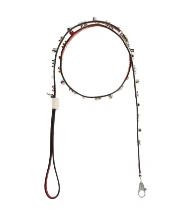 Christian Louboutin Loubileash spiked leather dog leash | Thumbnail 1