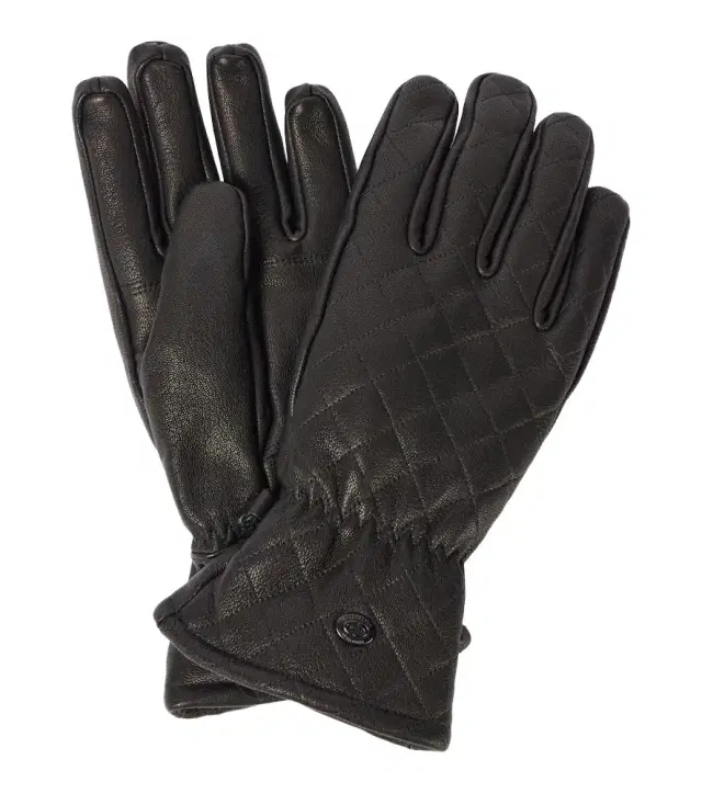 Goldbergh Nishi leather ski gloves