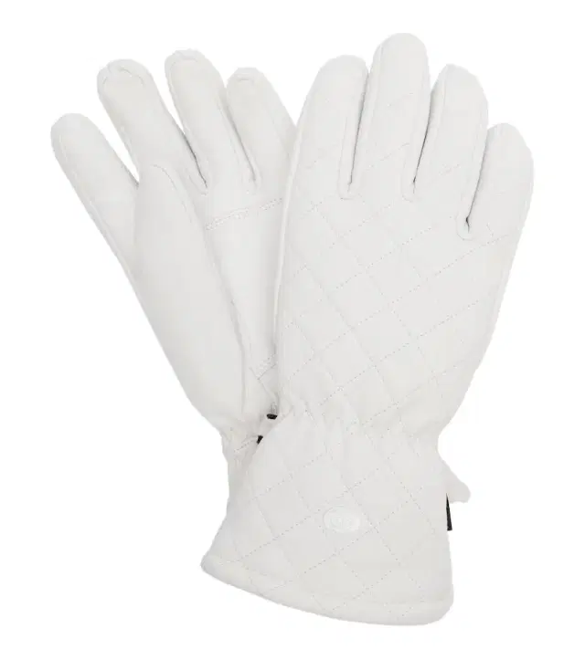Goldbergh Nishi leather ski gloves