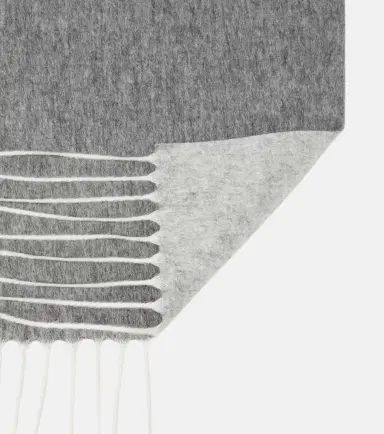 Gabriela Hearst Blaine fringed silk and cashmere scarf | Thumbnail 4