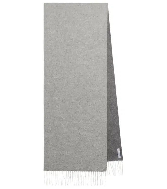 Gabriela Hearst Blaine fringed silk and cashmere scarf