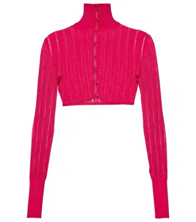 Alaia Alaïa Crinoline cropped mockneck cardigan | Thumbnail 1