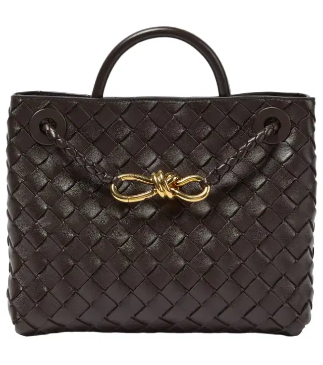 Bottega Veneta Andiamo Small leather top-handle bag