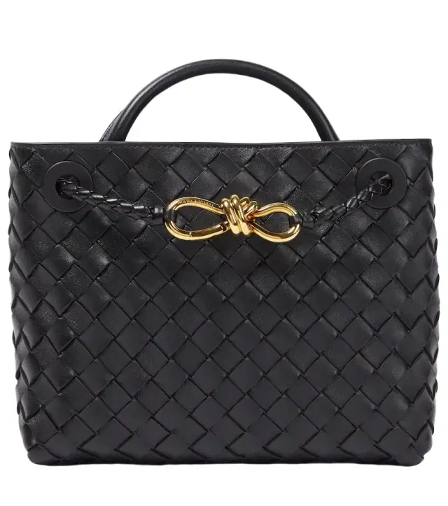 Bottega Veneta Andiamo Small leather tote bag