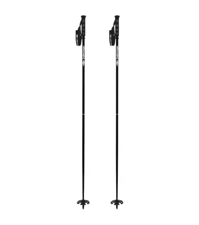 Balenciaga 3B Sports Icon ski poles