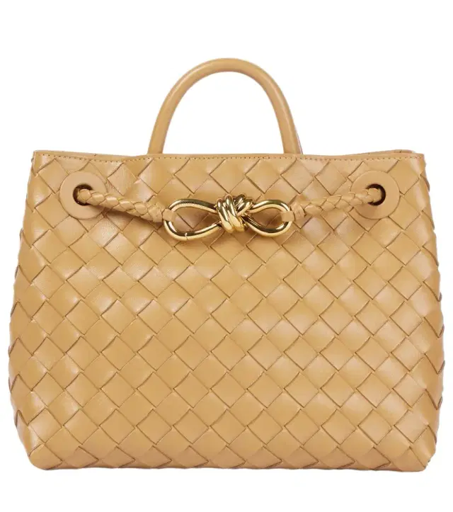 Bottega Veneta Andiamo Small Intrecciato leather tote bag