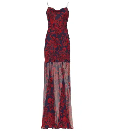 Dries Van Noten Printed silk georgette maxi dress | Thumbnail 1