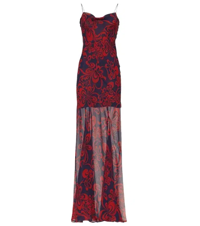 Dries Van Noten Printed silk georgette maxi dress