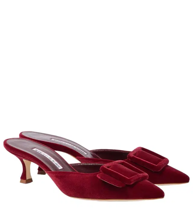 Manolo Blahnik Maysale 50 velvet mules