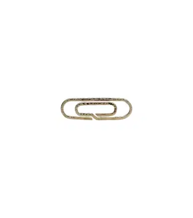 Octavia Elizabeth Michael's 10kt gold money clip | Thumbnail 1