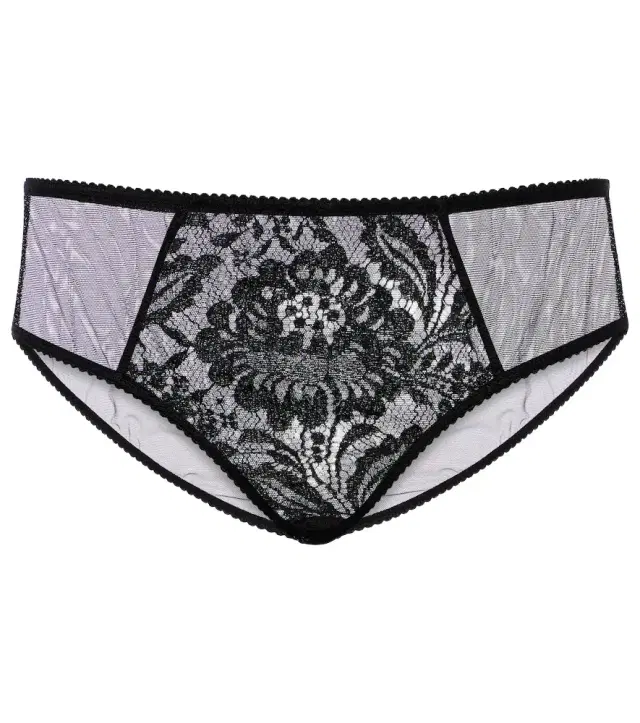 Dolce & Gabbana High-rise lace and tulle briefs