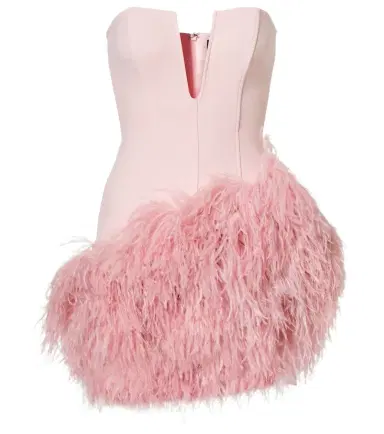 David Koma Feather-trimmed minidress | Thumbnail 1
