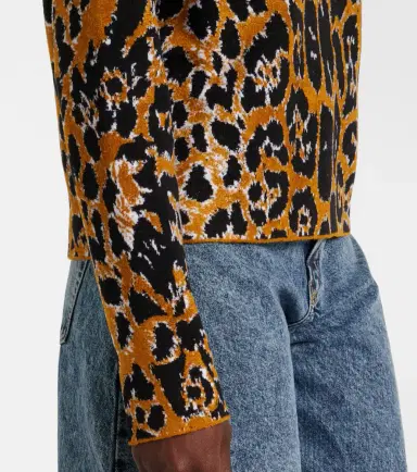Alaïa Alaïa Leopard jacquard sweater | Thumbnail 4