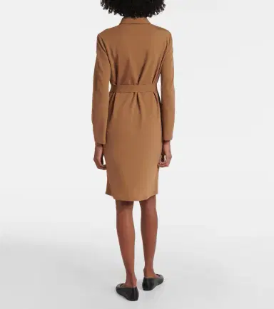 Max Mara Dorema belted jersey minidress | Thumbnail 3