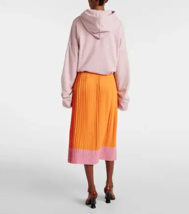 Dries Van Noten Colorblocked pleated midi skirt | Thumbnail 5
