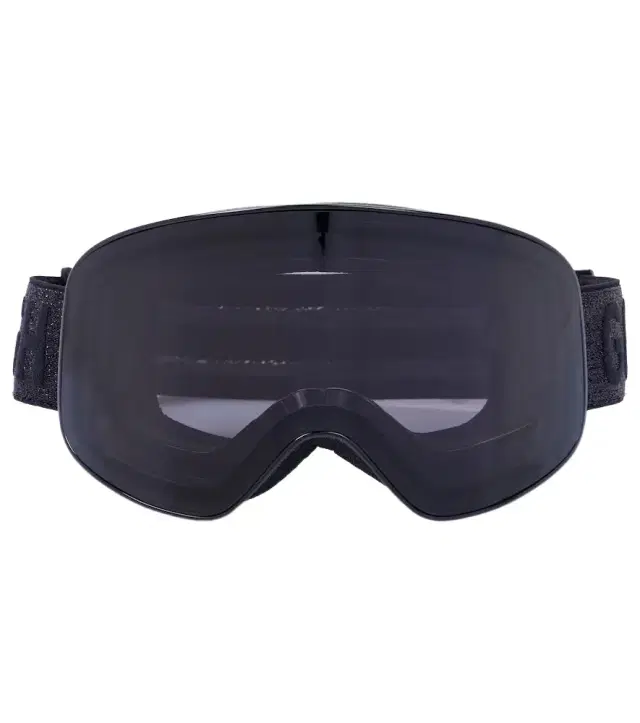 Goldbergh Protégé ski googles