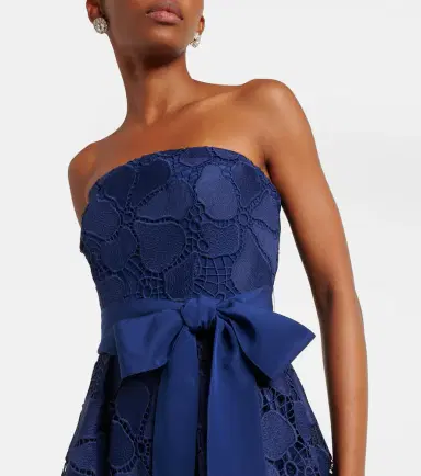 Elie Saab Lace bustier gown | Thumbnail 4