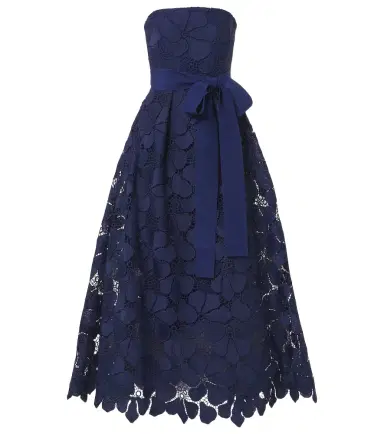 Elie Saab Lace bustier gown | Thumbnail 1