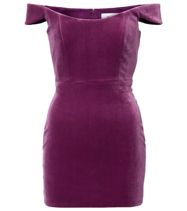 Alex Perry Off-shoulder velvet corset dress