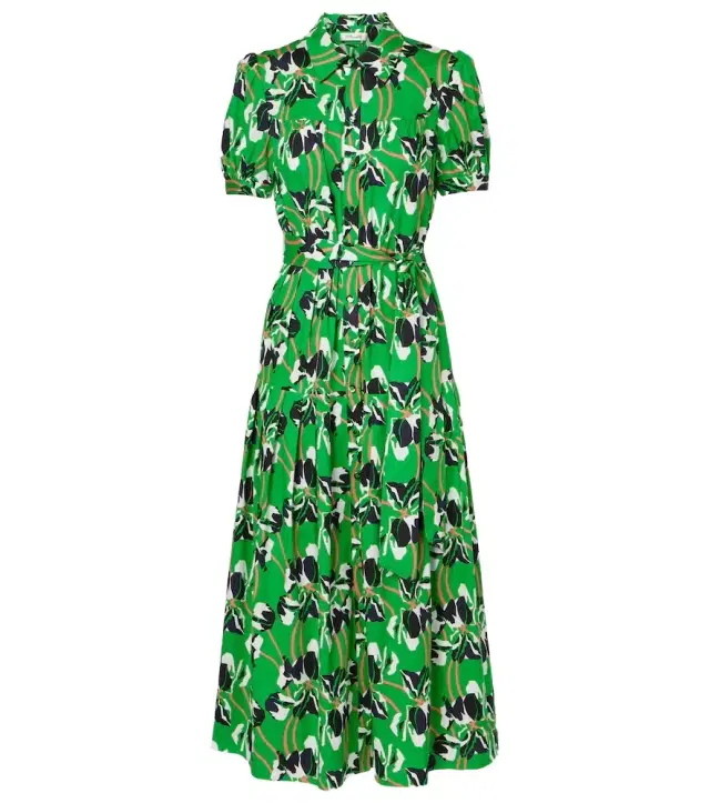 Diane von Furstenberg Jonah printed cotton maxi dress