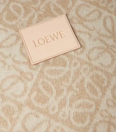 Loewe Anagram wool and cashmere cushion | Thumbnail 5
