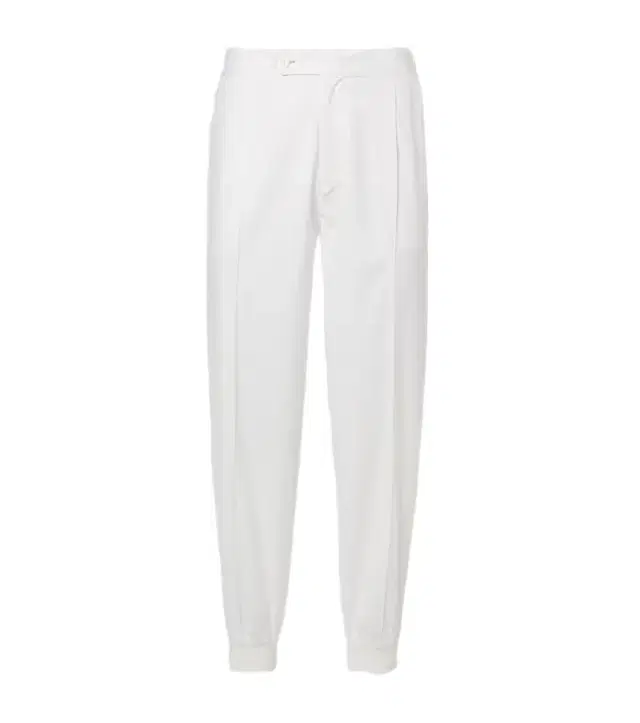 Pleated tapered pants