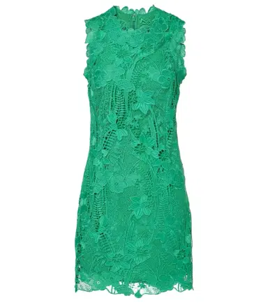 Monique Lhuillier Floral lace minidress | Thumbnail 1