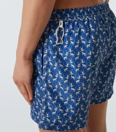 Fedeli Printed swim trunks | Thumbnail 5