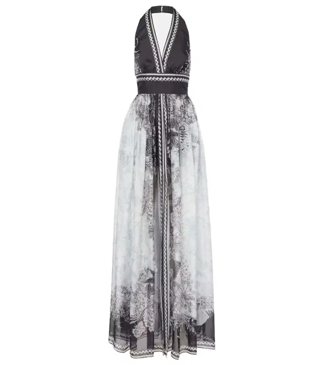Elie Saab Printed silk chiffon maxi dress