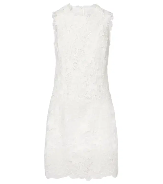 Monique Lhuillier Floral lace minidress