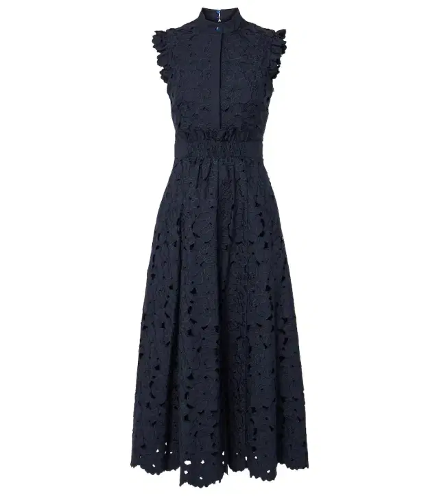 Erdem Lace midi dress